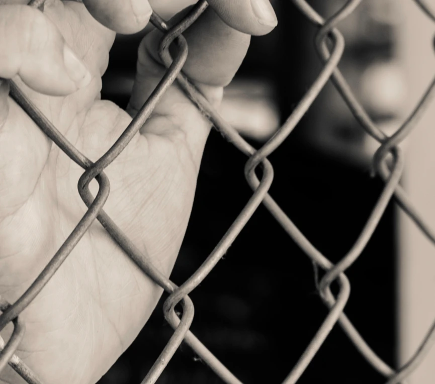 revocacion-suspension-pena